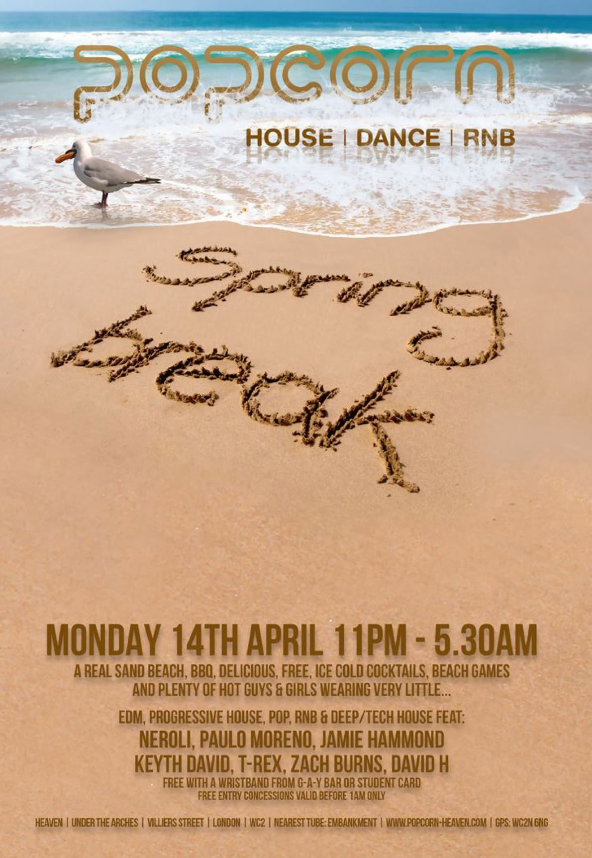 David-H Percussion :: The Bongoman ::